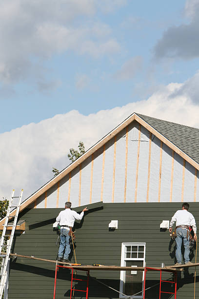 Best Aluminum Siding Installation  in Central City, IL